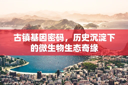 古镇基因密码，历史沉淀下的微生物生态奇缘