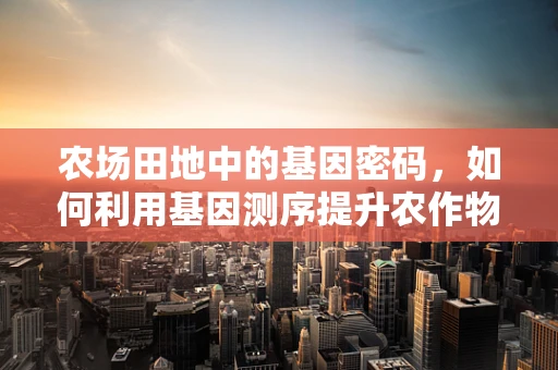 农场田地中的基因密码，如何利用基因测序提升农作物产量与抗性？