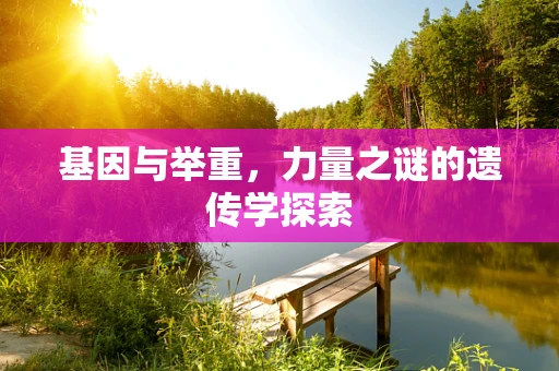 基因与举重，力量之谜的遗传学探索