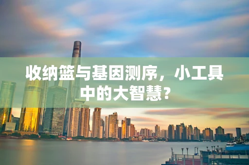 收纳篮与基因测序，小工具中的大智慧？