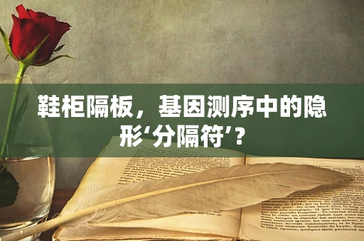 鞋柜隔板，基因测序中的隐形‘分隔符’？