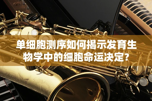 单细胞测序如何揭示发育生物学中的细胞命运决定？