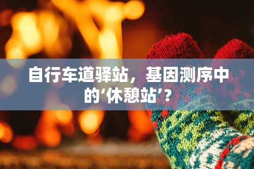 自行车道驿站，基因测序中的‘休憩站’？