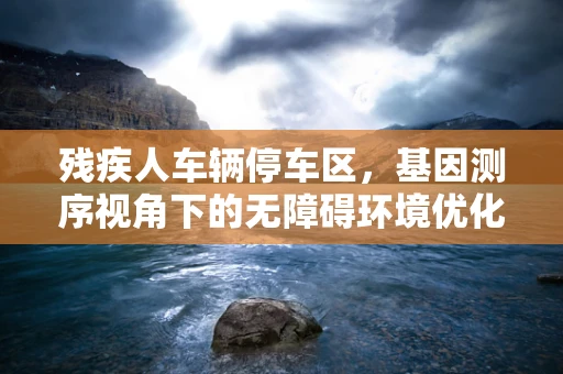 残疾人车辆停车区，基因测序视角下的无障碍环境优化
