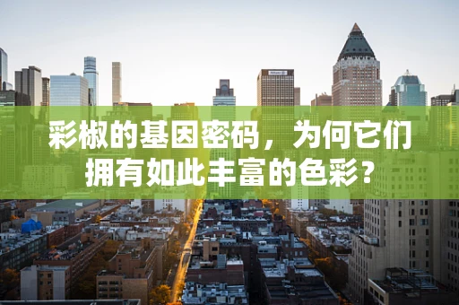 彩椒的基因密码，为何它们拥有如此丰富的色彩？