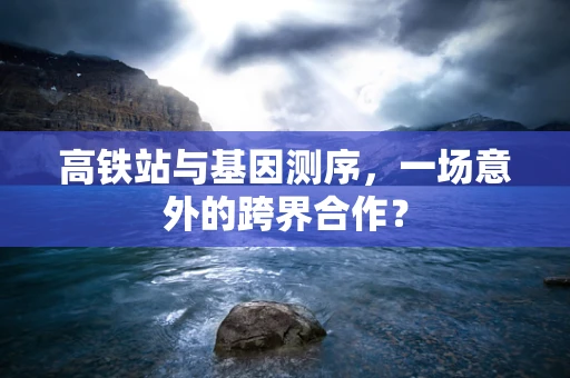 高铁站与基因测序，一场意外的跨界合作？