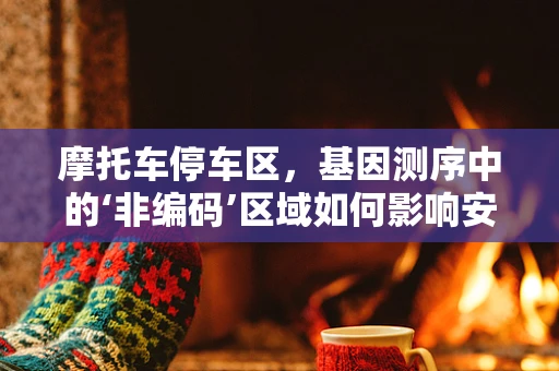 摩托车停车区，基因测序中的‘非编码’区域如何影响安全停放？