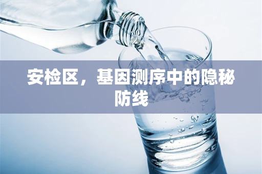 安检区，基因测序中的隐秘防线