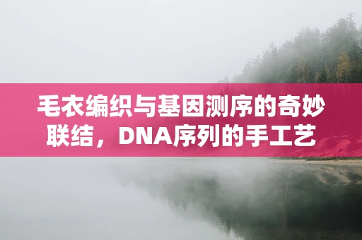 毛衣编织与基因测序的奇妙联结，DNA序列的手工艺术