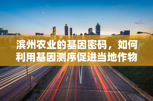 滨州农业的基因密码，如何利用基因测序促进当地作物改良？