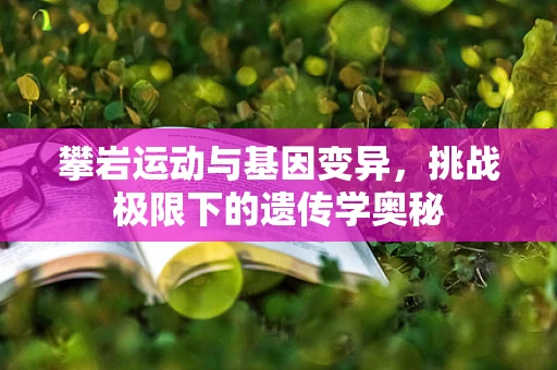 攀岩运动与基因变异，挑战极限下的遗传学奥秘