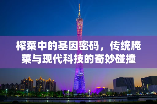 榨菜中的基因密码，传统腌菜与现代科技的奇妙碰撞