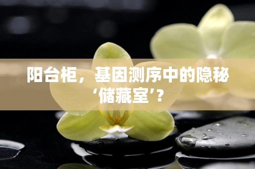 阳台柜，基因测序中的隐秘‘储藏室’？