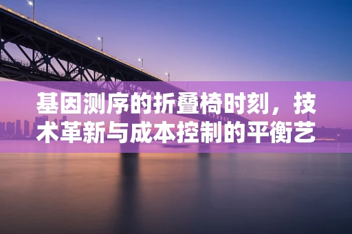 基因测序的折叠椅时刻，技术革新与成本控制的平衡艺术