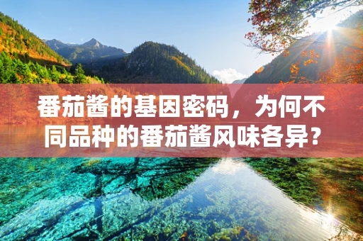 番茄酱的基因密码，为何不同品种的番茄酱风味各异？