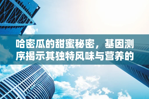 哈密瓜的甜蜜秘密，基因测序揭示其独特风味与营养的奥秘