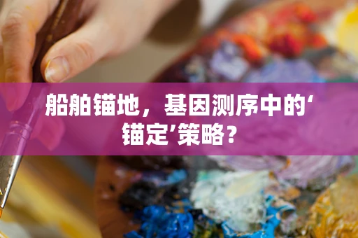 船舶锚地，基因测序中的‘锚定’策略？