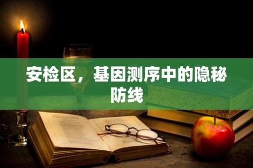 安检区，基因测序中的隐秘防线