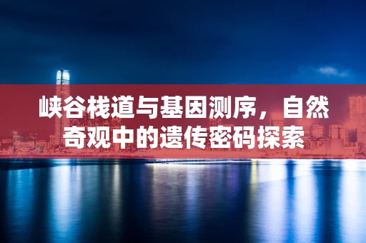 峡谷栈道与基因测序，自然奇观中的遗传密码探索