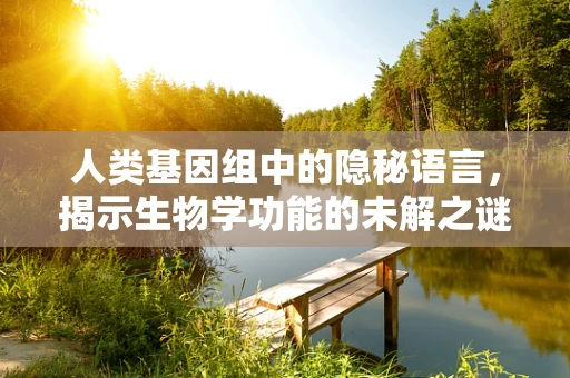 人类基因组中的隐秘语言，揭示生物学功能的未解之谜