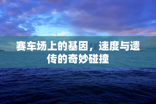 赛车场上的基因，速度与遗传的奇妙碰撞
