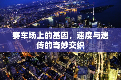 赛车场上的基因，速度与遗传的奇妙交织