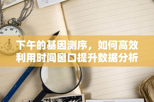 下午的基因测序，如何高效利用时间窗口提升数据分析效率？
