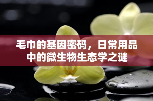 毛巾的基因密码，日常用品中的微生物生态学之谜