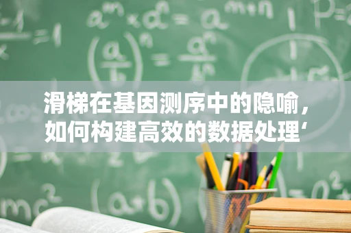 滑梯在基因测序中的隐喻，如何构建高效的数据处理‘滑梯’？