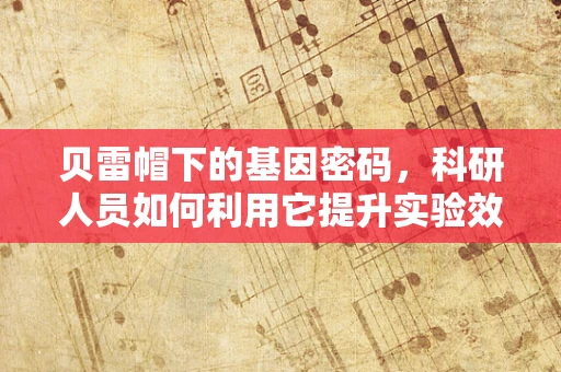 贝雷帽下的基因密码，科研人员如何利用它提升实验效率？