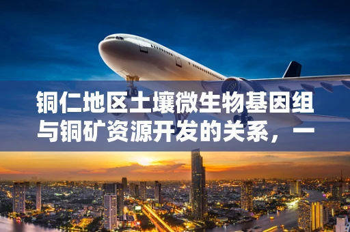 铜仁地区土壤微生物基因组与铜矿资源开发的关系，一个待解的基因密码？