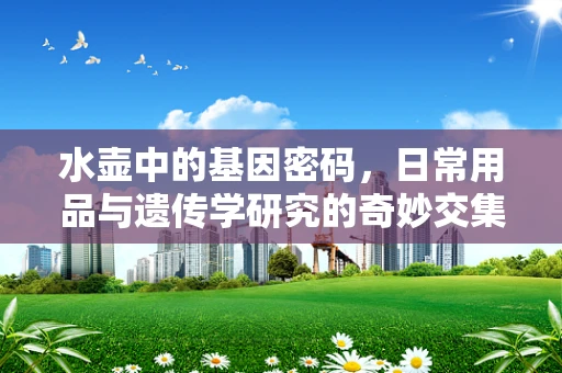 水壶中的基因密码，日常用品与遗传学研究的奇妙交集