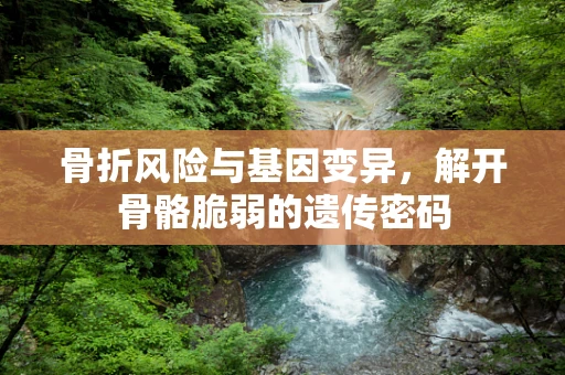 骨折风险与基因变异，解开骨骼脆弱的遗传密码