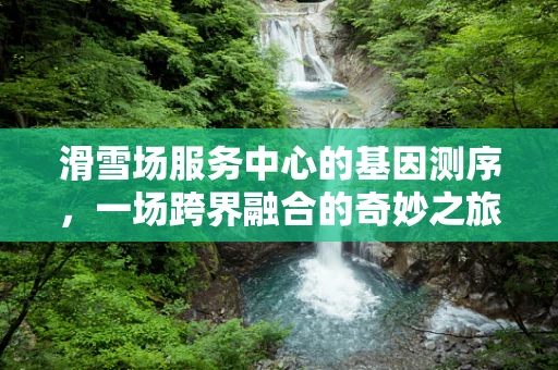 滑雪场服务中心的基因测序，一场跨界融合的奇妙之旅？