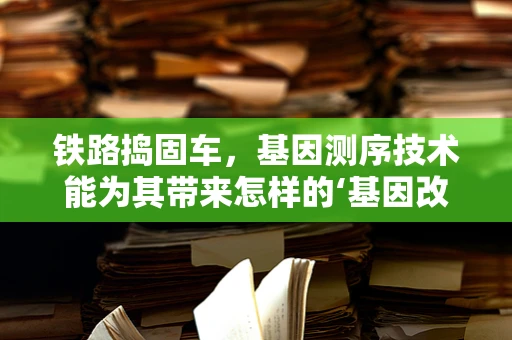 铁路捣固车，基因测序技术能为其带来怎样的‘基因改造’？