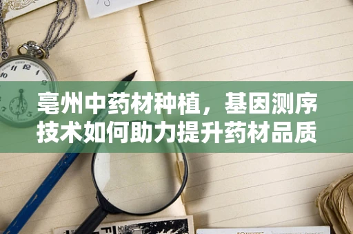 亳州中药材种植，基因测序技术如何助力提升药材品质？