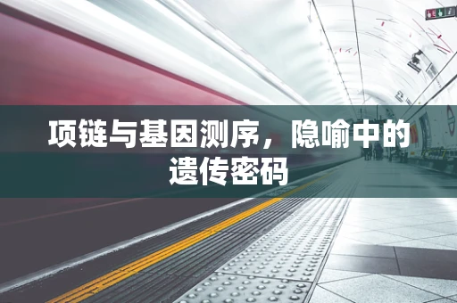 项链与基因测序，隐喻中的遗传密码