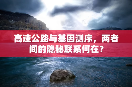 高速公路与基因测序，两者间的隐秘联系何在？
