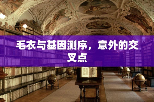 毛衣与基因测序，意外的交叉点