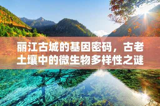 丽江古城的基因密码，古老土壤中的微生物多样性之谜