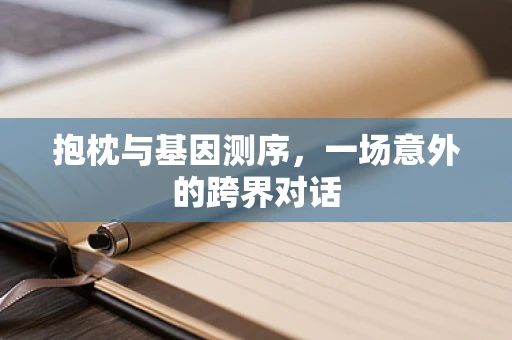 抱枕与基因测序，一场意外的跨界对话