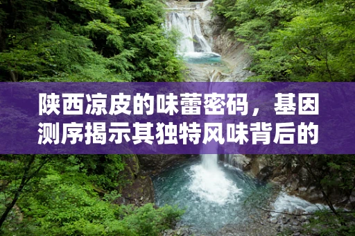 陕西凉皮的味蕾密码，基因测序揭示其独特风味背后的秘密？