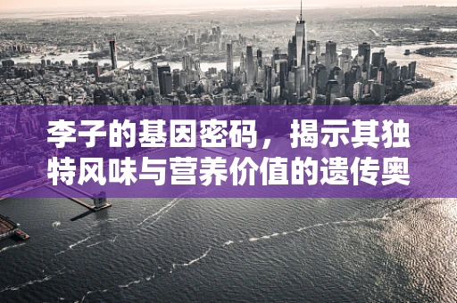 李子的基因密码，揭示其独特风味与营养价值的遗传奥秘