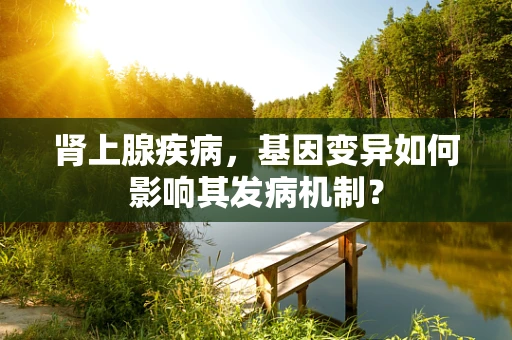 肾上腺疾病，基因变异如何影响其发病机制？