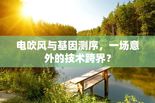 电吹风与基因测序，一场意外的技术跨界？
