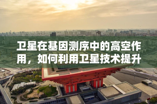 卫星在基因测序中的高空作用，如何利用卫星技术提升基因组学研究的效率与精度？