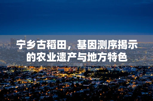 宁乡古稻田，基因测序揭示的农业遗产与地方特色