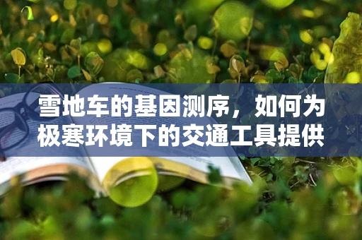 雪地车的基因测序，如何为极寒环境下的交通工具提供遗传改良？