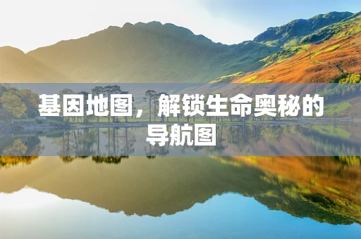 基因地图，解锁生命奥秘的导航图