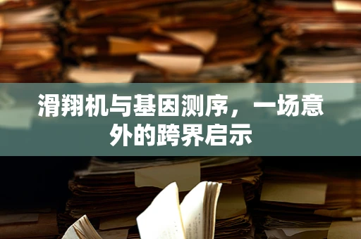 滑翔机与基因测序，一场意外的跨界启示
